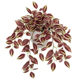 Briful Faux Plants Indoor Fake Potted Silk Plants Artificial Watermelon Peperomia Draping Plant for Home Office Room Kitchen Shelf Cabinet Tabletop Decoration(Dark Red - 1 Pack)