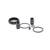 Autofren Seinsa D41631 Repair Kit, brake caliper