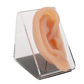 Modelo de Oreja de Silicona, para Práctica de Acupuntura y Exhibición de Perforación con Soporte de Exhibición