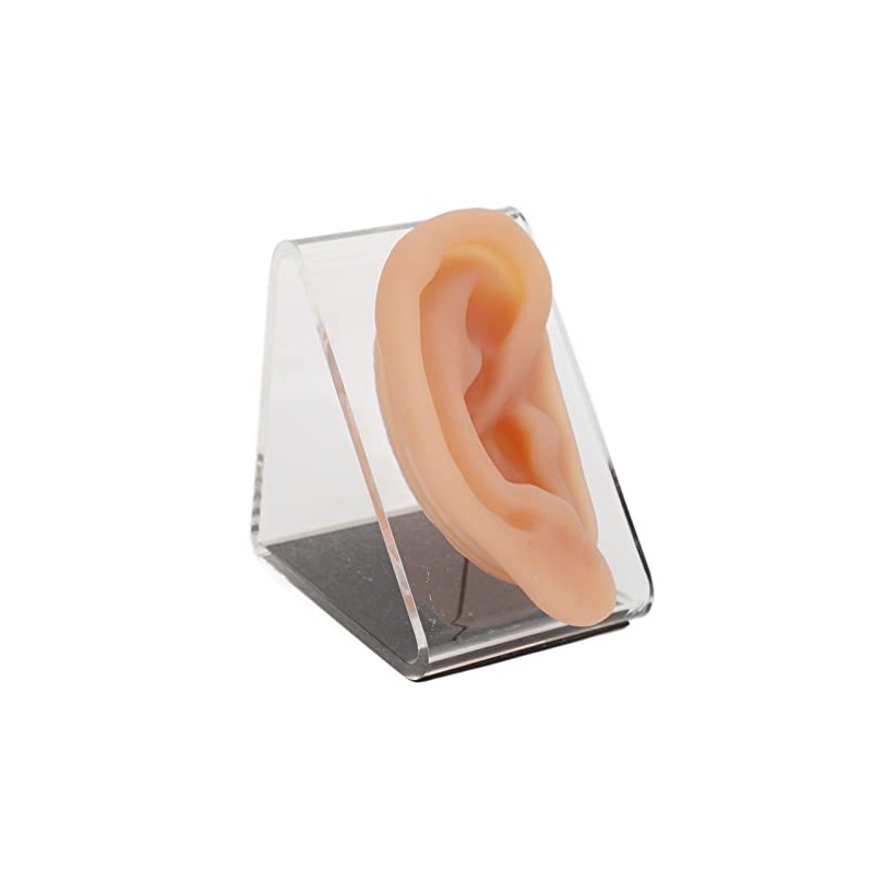 Modelo de Oreja de Silicona, para Práctica de Acupuntura y