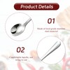 10 Pcs Stainless Steel Small Spoons,Mini Spoon,Mini Size 7.5 Cm
