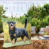VOID Rottweiler Cushion Cover Sofa Cushion Decorative Outdoor Cushion Decorative