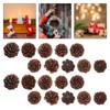GRIRIW 100pcs Pine Cones Decorations - Natural Pine Cones Bulk