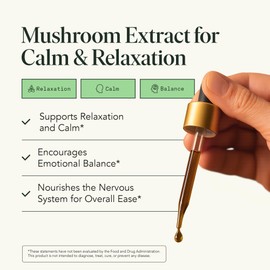 Fantastic Fungi Reishi Mushroom Extract Drops - Chill Elixir Mushroom Tincture with Holy Basil, Shiitake & Vervain - 4-in-1 Organic Mood Support Supplement for Relaxation & Calm, 30 Servings, 1 fl oz