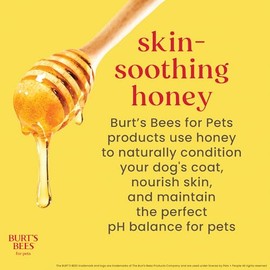 Burts Bee Paw and Nose Lotion, 4-Ounce