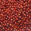 Hokkaido Toyomi Dainagon Azuki bean Azuki bean Azuki Dainagon Azuki