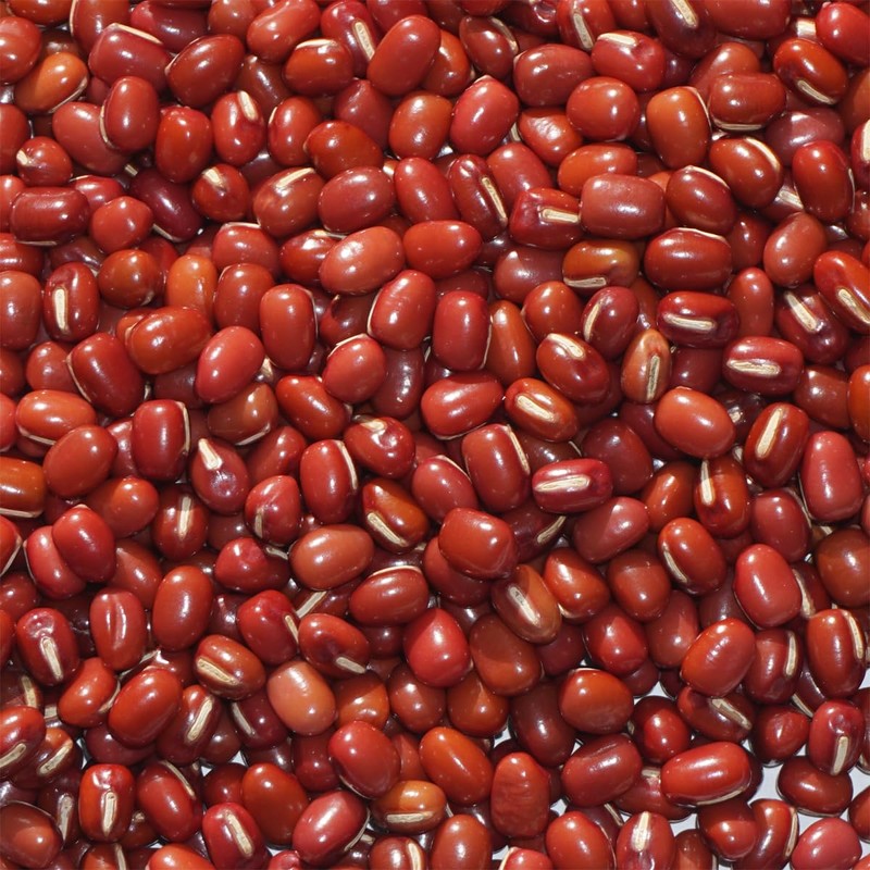 Hokkaido Toyomi Dainagon Azuki bean Azuki bean Azuki Dainagon Azuki