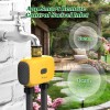 TRJZWA Smart WiFi Sprinkler Timer 2-Zone - Brass Inlet Garden