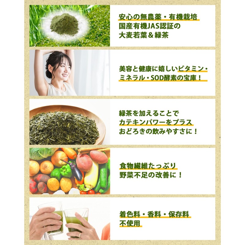 Yamamoto Homeien Fine Green Juice, 0.1 oz (2.5 g) x