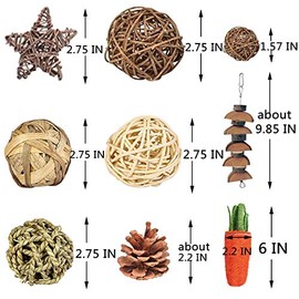 Juguetes para Masticar hámster, 24 Piezas