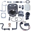 Mtanlo 49mm Cylinder Piston Kit , Piston Needle Bearing ,