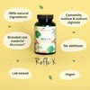 Vegavero Vegavero Reflu-X Complex | Natural Antacid | Stomach Reflux
