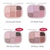 WAKEMAKE Soft Sheer Multi Palette& Brush Special Set 2items [Limited],