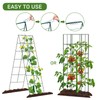 AGTEK 30" x 56" Foldable Cucumber Trellis with Zip Ties