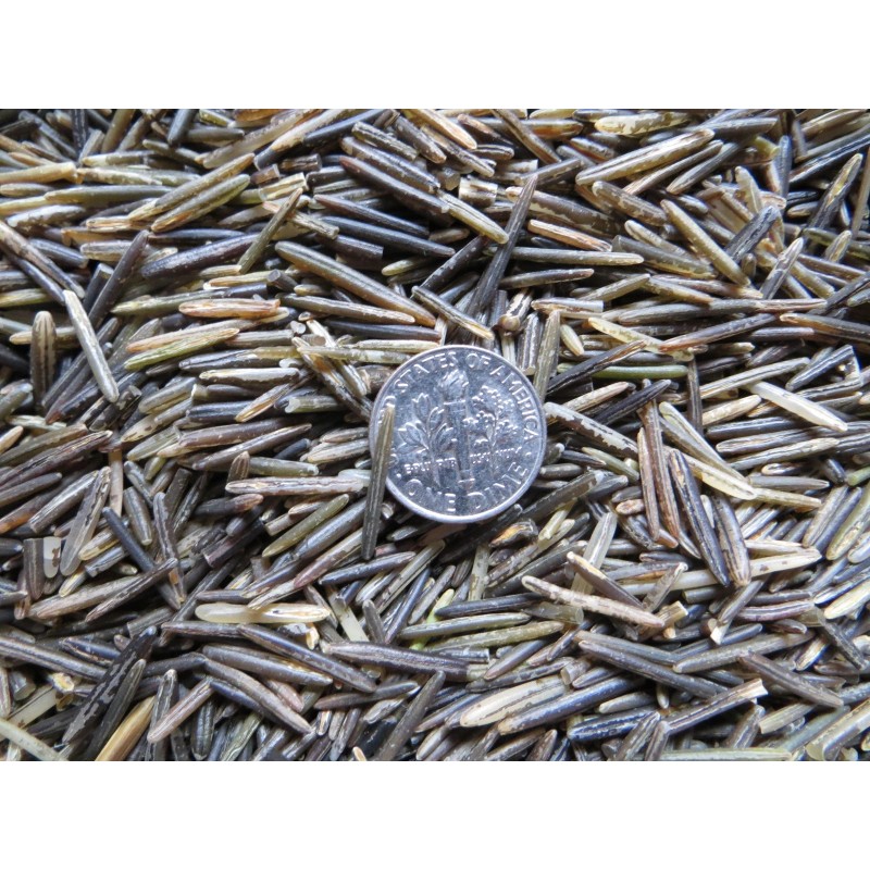Pietron Family 1 lb. Wild Rice Minnesota Hand Harvested Wood