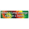 What A Long Strange Trip It's Been Large Bumper Sticker