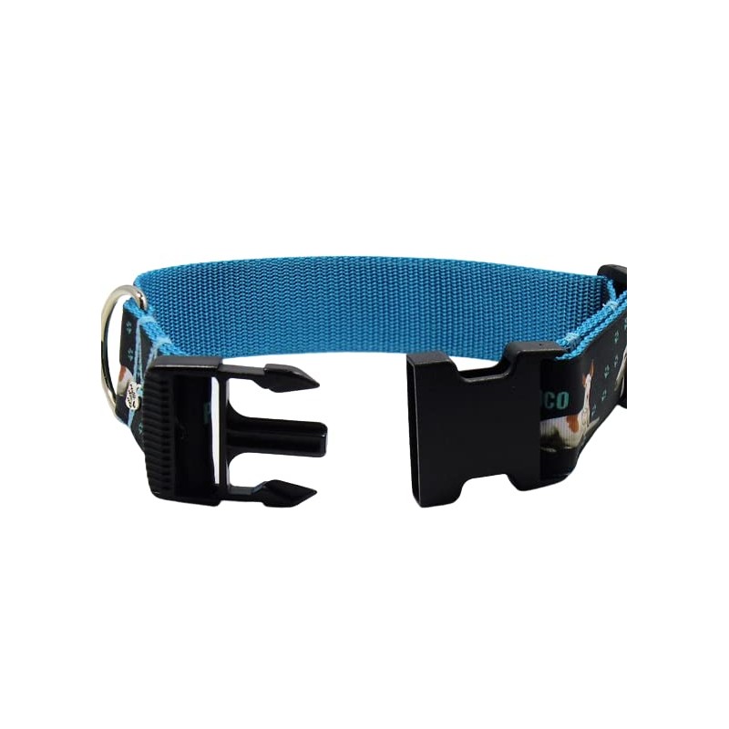 Halsband "Podenco" Größe SM bis 40 cm Halsumfang