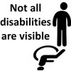 Not All Disabilities Are Visible Disability Vinyl Decal Sticker (Blue
