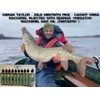searigs™ Fish Blood Natural sea fishing Bait Capsules for attracting