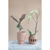 Creative Co-Op Handmade Terra-cotta Planter/Candle Holder with Cut-Outs