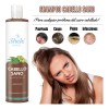 Shampoo Cabello Sano Brillo Sedosidad