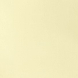 Winsor & Newton Galeria Pintura Acrilica, Amarillo (Pale Lemon 434), Tubo de 60 ml