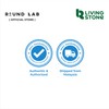 Round Lab Vita Niacinamide Dark Spot Cream 10ml