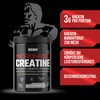 Weider Weider Micronized Creatine Monohydrate Powder (310g), Unflavored. 99% Creatine