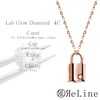 ReLine Genuine Cremation Accessory, Diamond Padlock Pendant, Includes Bone Set,