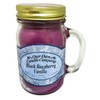 Our Own Candle Company Black Raspberry Vanilla Scented 13 Ounce Mason Jar Candle