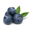 OliveNation Blueberry Flavoring Oil, Natural (WONF) Flavor, Oil Soluble -