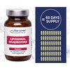 Blue Ocean Supplements Blue Ocean Supplements C Maitake C World's