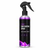 100 mL Car Surface Cleaning Spray for Wheels & Paint