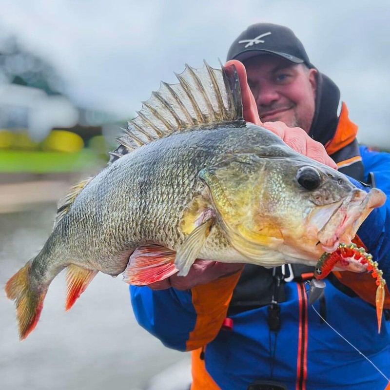 Monkey Lures Shaky Lui - 7.5 cm & 10 cm