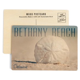 Bethany Beach, Delaware, Sand Dollar on Beach (4x6 Birch Wood Postcards, 2-Pack Stationary, Rustic Home Wall Decor)
