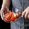 Glass Saucepan Pot for Cooking on Stove: Kitchen 600Ml Glass