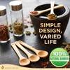 Golden Nature Bamboo Spoon Set (5 Pc), Small Kitchen Teaspoons,