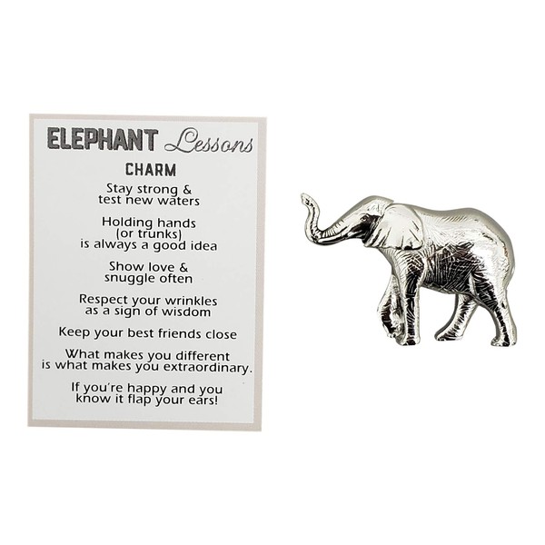 Ganz Stay Strong Life Lessons Elephant Pocket Charm Token with Story Card