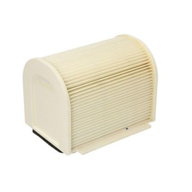 Hiflo Air Filter