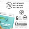 Sunwarrior Collagen Building Protein Peptides, Tahitian Vanilla, 500 g