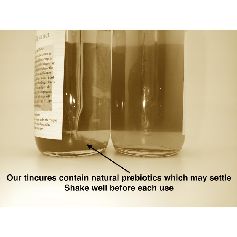 Stajcar Stoneworks LLC Shiitake Mushroom Tincture, 2 fl. Oz, Alcohol-Based