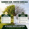 Tree Paint, 35 Oz White Trunk Paint Protection for Fruit,