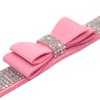 Beirui Rhinestone Leather Dog & Cat Collar - Sparkly Crystal