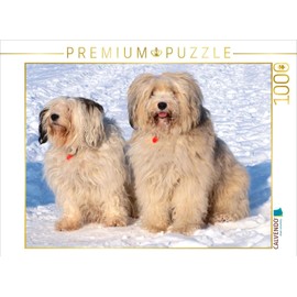 CALVENDO Puzzle Tibetan Terrier - A Dog Breed with Character 1000 Pieces 64 x 48 cm from Rudolf Bindig