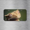 Crested Gecko License Plate Front Vehicle Auto Tag Lizard Reptile