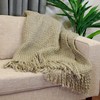 Vue Throw Blanket - Effie Solid Knit with Tassles, Throw