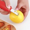 Pisol Lemon Citrus Orange Zester and Grater Tool, Cheese Grater