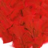 Soarer Red Turkey Feathers - 300pcs 3-5inch Feathers for Kindergarten