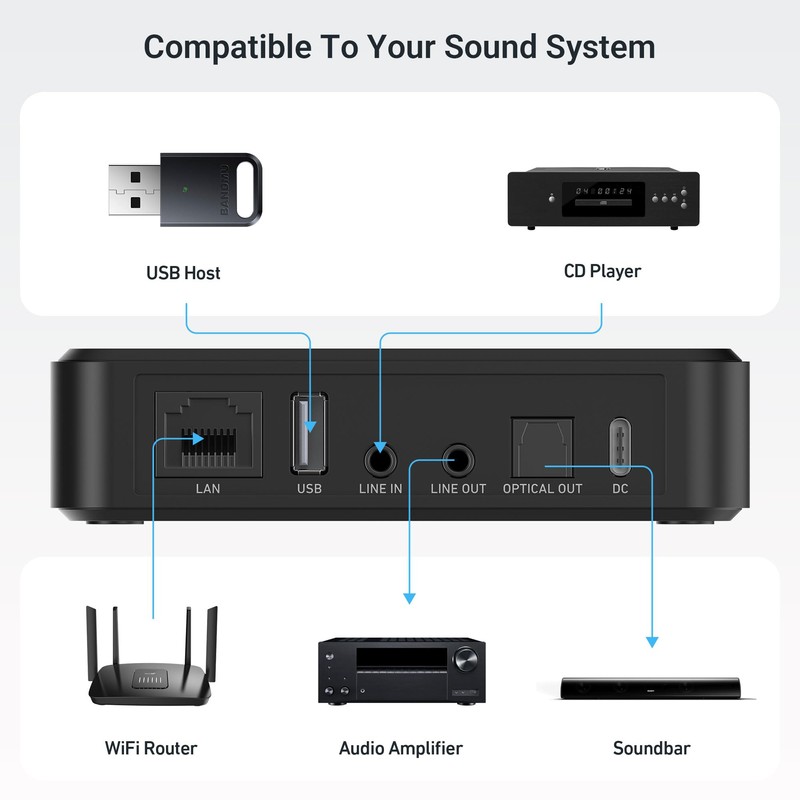 Arylic LP10 Wireless Music Streamer for Home Audio, AirPlay 2,
