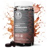 Multi Mushroom Complex Gummies - 2000mg Lions Mane, Reishi, Maitake,